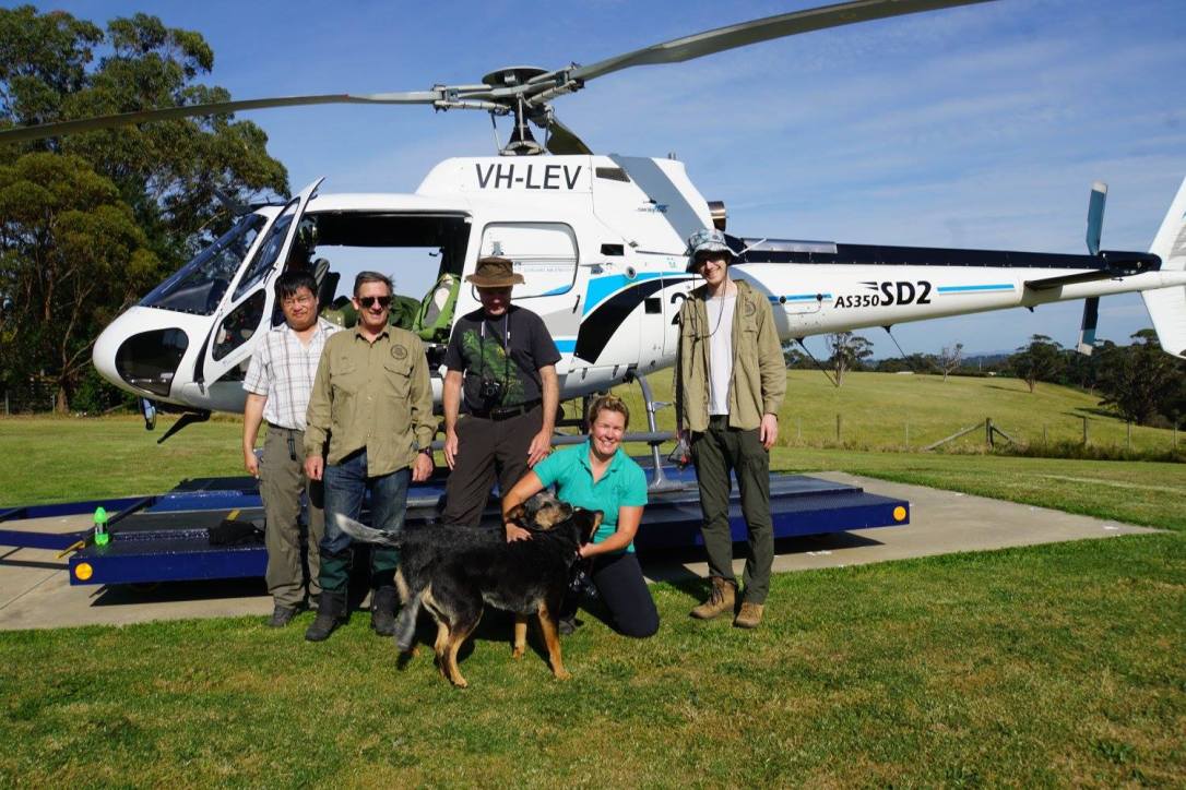 Coopracambra CHOPPER 2017