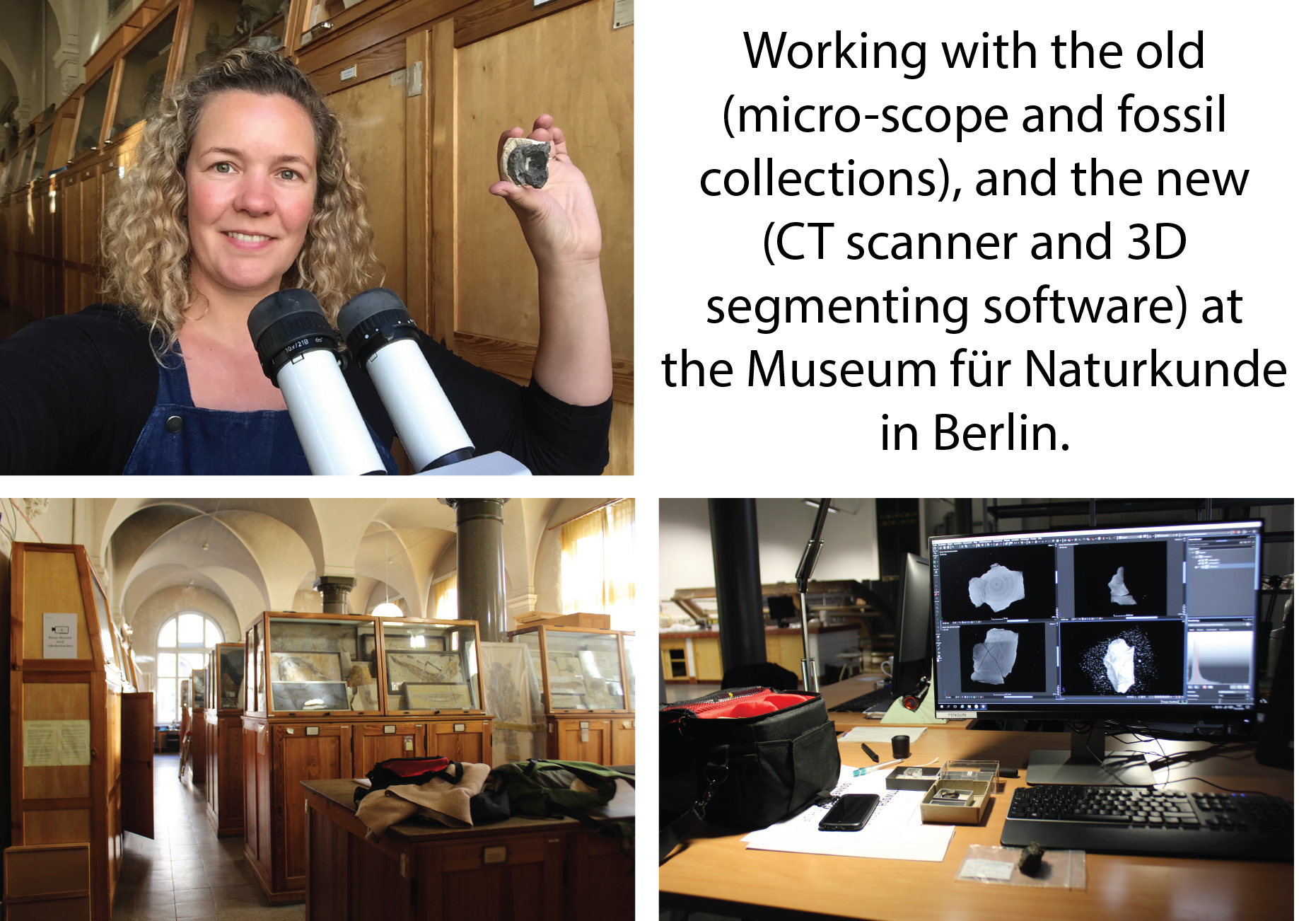 Berlin Museum für Naturkunde – Dr Alice Clement
