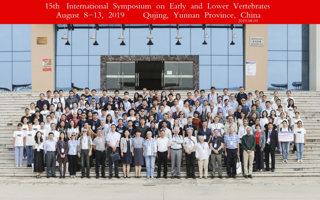 ISELV2019-Qujing