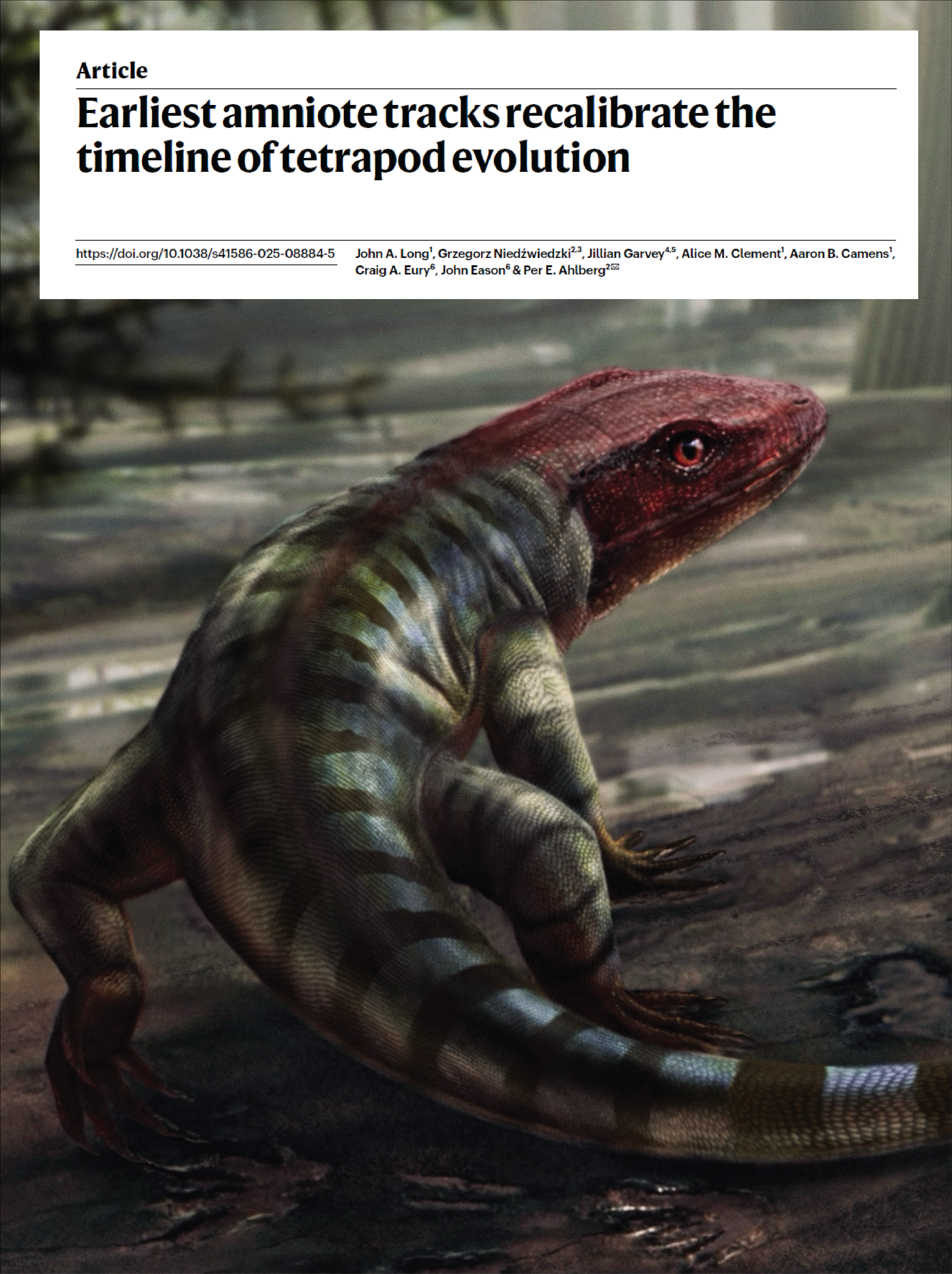 350 million-year-old reptile footprints – Dr Alice Clement